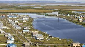 Image result for Selago dinteri