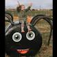 Pumpkin Picking - Tweddle Farm event image