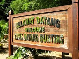 Check spelling or type a new query. Seribu Misteri Tentang Pulau Dayang Bunting Part 1 Akubahrain