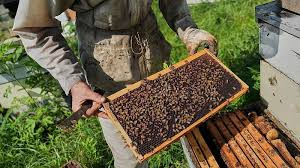 Patti LaBelle performing
