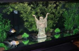 In the event you cherished this post as well as you desire to get guidance about best of 19 images bedside table decorations i implore you to visit the web page. Aquarium Decorations Ratemyfishtank Com