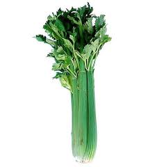 We've put together 7 benefits of adopting celery into your food and 5 ways to prepare it. Growing Celery How To Grow Celery A Crop With Tough Demands North American Farmer