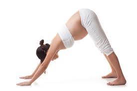 Start by coming on to the ground or yoga mat and find the table top position on your hands and knees. Downward Facing Yoga Mama Inversions And Safety During Pregnancy Vesselify