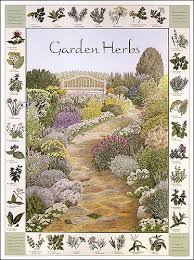Amazon Com Garden Herbs Poster Gardening And Cooking