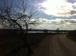 Les millors rutes de Senderisme a Torres de Segre, Catalunya (Espanya)