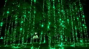 You can also pick out the perfect christmas tree at this fun event. Christmas Lights Tour 2020 Leland Wilmington Rocky Point Brighten Up The Season Port City Daily