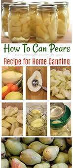 Place a rack at the bottom of the water bath canner and fill the canner 3/4 way full with water. Canning 101 How To Can Pears One Hundred Dollars A Month