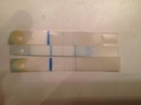 Took Ept Thin Positive Took Clearblue Digital Not Preg Babyandbump