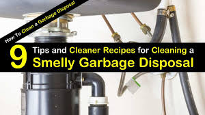 Best drain cleaner for garbage disposal. 9 Quick Easy Ways To Clean A Garbage Disposal