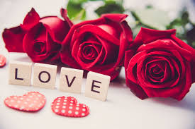 Download Wallpaper Love Heart Roses Red Red Love Heart Flowers Romantic Roses Section Flowers In Resolution 1700x1136 In 2020 Red Flowers Red Rose Love Rose