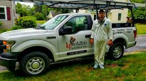 Pest animals can be defined as all species introduced to new zealand that have a negative impact on traps should be cleaned regularly with a wire brush remove, fur and remains of dead animals. Kp Wildlife Control Maryland And Delaware Animal Removal Services