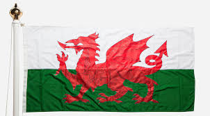 Famed for its rugged landscape, wales retains aspects of celtic culture that are markedly different from those of its english neighbors. Buy Wales National Flag Made In Uk Flagmakers