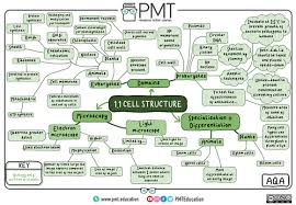 What are the three differences between animal and plant cells? Aqa Gcse Biology 9 1 Mindmaps Teaching Resources