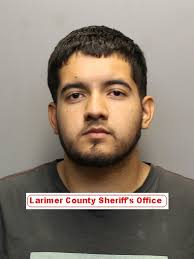 Sheriff-Media-Notify} Drug Trafficking Organization Dismantled