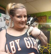 Has anyone seen my lost cat Cookie in Shawano County?