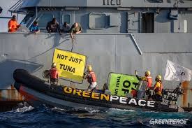 From bringing humanitarian relief to. Greenpeace Ships Warriors At Sea Greenpeace Africa
