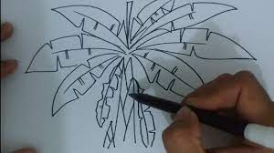 Maybe you would like to learn more about one of these? How To Draw Banana Tree For Children Tutorial Menggambar Pohon Pisang Untuk Anak Youtube