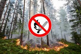 På grund av den senaste tidens värme och torka är brandrisken mycket stor i. Eldningsforbud I Hela Ostergotland Nkpg News