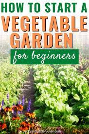 How To Start A Vegetable Garden For Beginners Vegetable Garden For Beginners Starting A Vegetable Garden Organic Gardening Tips