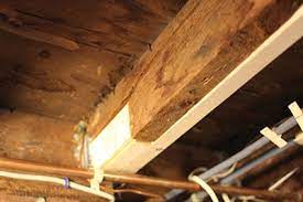 Fix & Replace Damaged Floor Joists - How To Sister A Joist