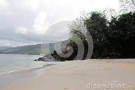 White Sands Beach With Clean Sands So Natural View The Original Name Of This Beach Is Pantai Pasir Putih Or White Sand Be White Sand Beach East Java Beach