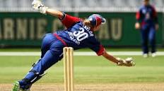 Image result for cricket