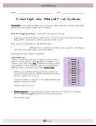 Dna also can replicate or make copies of itself. Battlefield High School Biolbiol Ecology Assignment Vii 5 Rna And Protein Synthesis Gizmo
