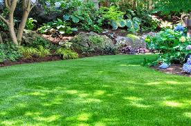 Find make my lawn green. 8 Tips To Make Your Grass Greener