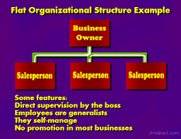 Major Organizational Structures Explained Afidated