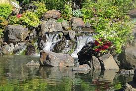 Japanese Gardens Bw Premier Boulder Falls Inn Lebanon Oregon Picture Of Best Western Premier Boulder Falls Inn Lebanon Tripadvisor