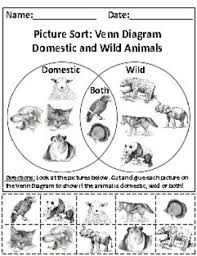 Domestic And Wild Animals Picture Sort Graph Activity Chart Activity