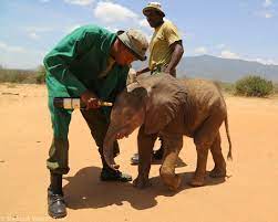 Sheldrick Wildlife Trust added... - Sheldrick Wildlife Trust