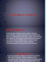 Check spelling or type a new query. Lipase