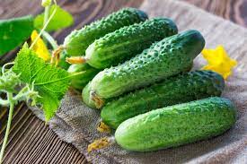 How to store garden cucumbers. When To Pick Cucumbers Get The Harvesting Facts