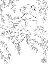 Free, printable coloring pages for adults that are not only fun but extremely relaxing. Get This Baby Panda Climbing A Tree Coloring Pages