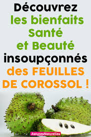 Decouvrez Les Bienfaits Sante Et Beaute Insoupconnes Des Feuilles De Corossol Fruit