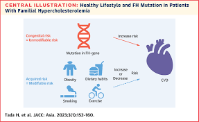 Image result for Hypercholesterolemia