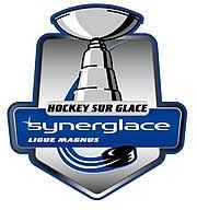 Une place sur deux et pas de buvette ce samedi à poissompré. Championnat De France De Hockey Sur Glace Wikipedia