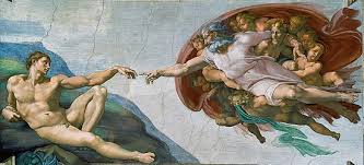 Quelle est sa fonction biologique ? Etre Humain Philosophie Wikipedia