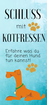 Anzeige No Shit Wenn Hunde Tun Was Sie Nicht Tun Sollten Unalife Hunde Hunde Erziehen Hunde Spielzeug Selber Machen