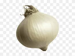 Sets grown for green onions can be planted closer together. Onion Yellow Onion Garlic Elephant Garlic White Onion Chives Biscuit Vegetable Yellow Onion Garlic Onion Png Pngwing