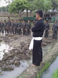 (5) gambar psht (9) gambar sh (5) gambar sh terate (11) gambar tendangan psht (4) gambar terate (3) harimau putih (2) ikrar tapak suci (5) ikspi (11) ikspi kera sakti (13) jual atribut sh terate (6) Jati Diri Seorang Petarung Ada Pada Hatinya My Blog My Adventure