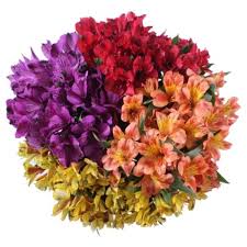 Jewel osco started with just $700 investment and has significantly expanded beyond expectations. Fresh Flowers At Jewel Osco Instacart