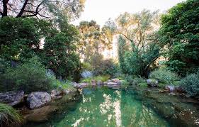 pin on garden outdoor area