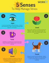 5 Senses To Help Manage Stress *Infographic* | Work-Fit