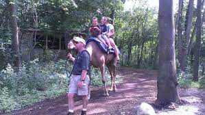 How do you make the most of your visit to john ball zoo? Camel Rides Picture Of John Ball Zoo Grand Rapids Tripadvisor