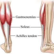 Achilles Tendon Rupture Recovery Time Surgery Exercises Your Health Guideline Achilles Tendonitis Achilles Tendon Ruptures Achilles