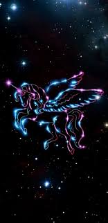 Wallpaper By Artist Unknown Kuda Poni Kuda Wallpaper Ponsel