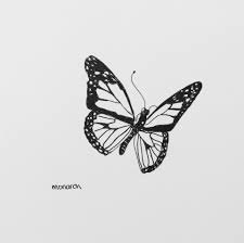 Small butterfly tattoo behind ear for women. Vsco Monarch Butterfly Sketch Drawing Art Akeswartz Butterfly Sketch Butterfly Drawing Monarch Butterfly Tattoo