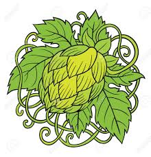 Recorrido completo por el cultivo de lúpulo en eeuu. Lupulo Vector Visual Grafico Iconos Diseno O Logotipos Ideal Para La Cerveza Cerveza De Malta Cerveza Inglesa Cerveza Dorada Etiquetas Amargas Y Envasado Ilustraciones Vectoriales Clip Art Vectorizado Libre De Derechos Image